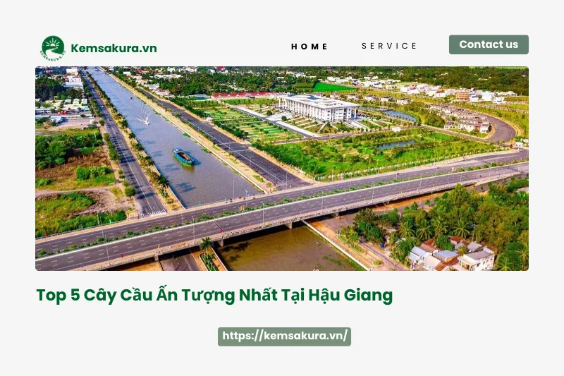 Top 5 cây cầu ấn tượng nhất Hậu Giang