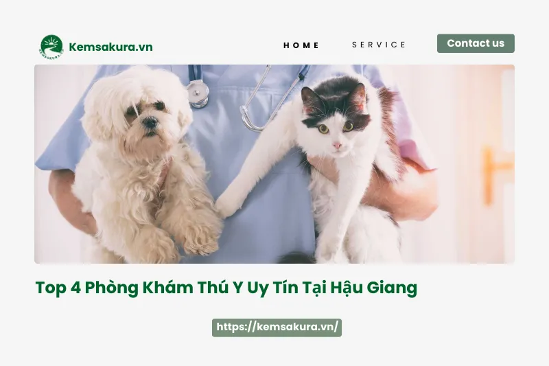 Tìm phòng khám thú y tốt tại Hậu Giang? Đừng bỏ qua 4 địa chỉ này