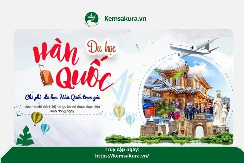 Công ty Du học - XKLĐ Makoto Hậu Giang