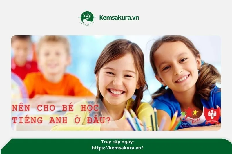 Trung tâm Ngoại ngữ Bách Việt