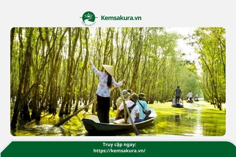 Những hoạt động thú vị tại Rừng Tràm Vị Thủy